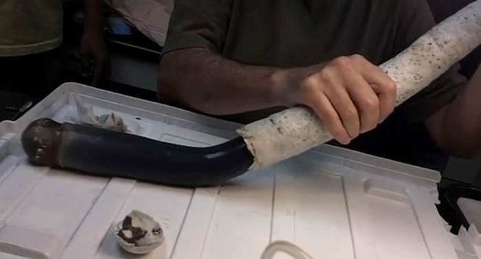 �޴����򡪡��⿪����ŵľ޴���