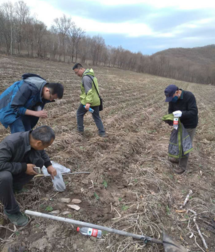 牡丹江流域、绥芬河流域共发现12处旧石器地点