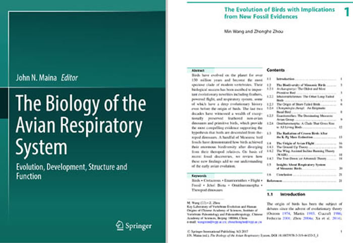 鸟类演化概述——基于不断发现的鸟类化石