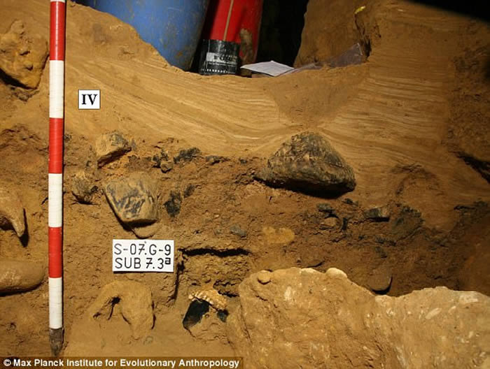 没有化石也可以 科学家已能够从泥土沉积物中提取和分析古人类DNA