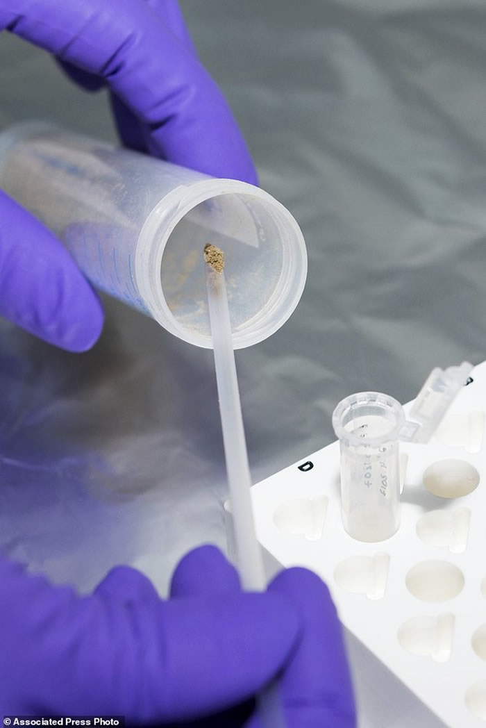 没有化石也可以 科学家已能够从泥土沉积物中提取和分析古人类DNA