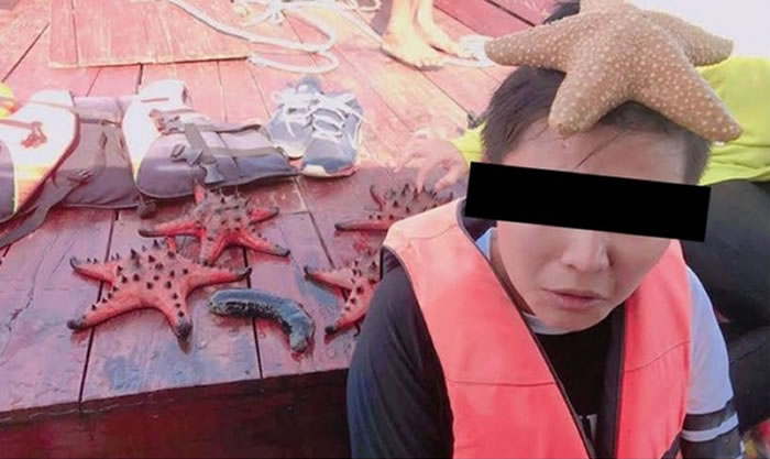 泰国喀比府女子游船上将海星放在头上自拍并上传脸书引发网友痛批