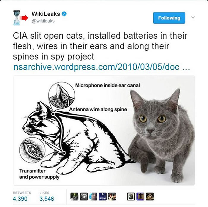 ά�����ܣ����������鱨�֣�CIA����ֲ����������Ļ�èȥ�ռ��з��鱨