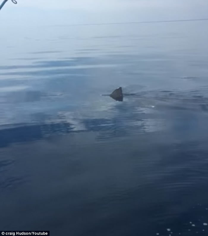 Ӣ�����������������㷢�ִ����о޴�����