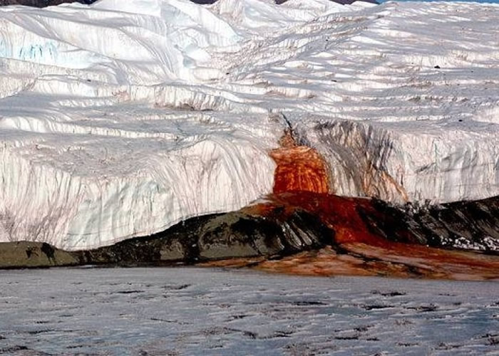 ������Ѫ�ٲ�����1911�걻���޵���ѧ�ҷ��֡�