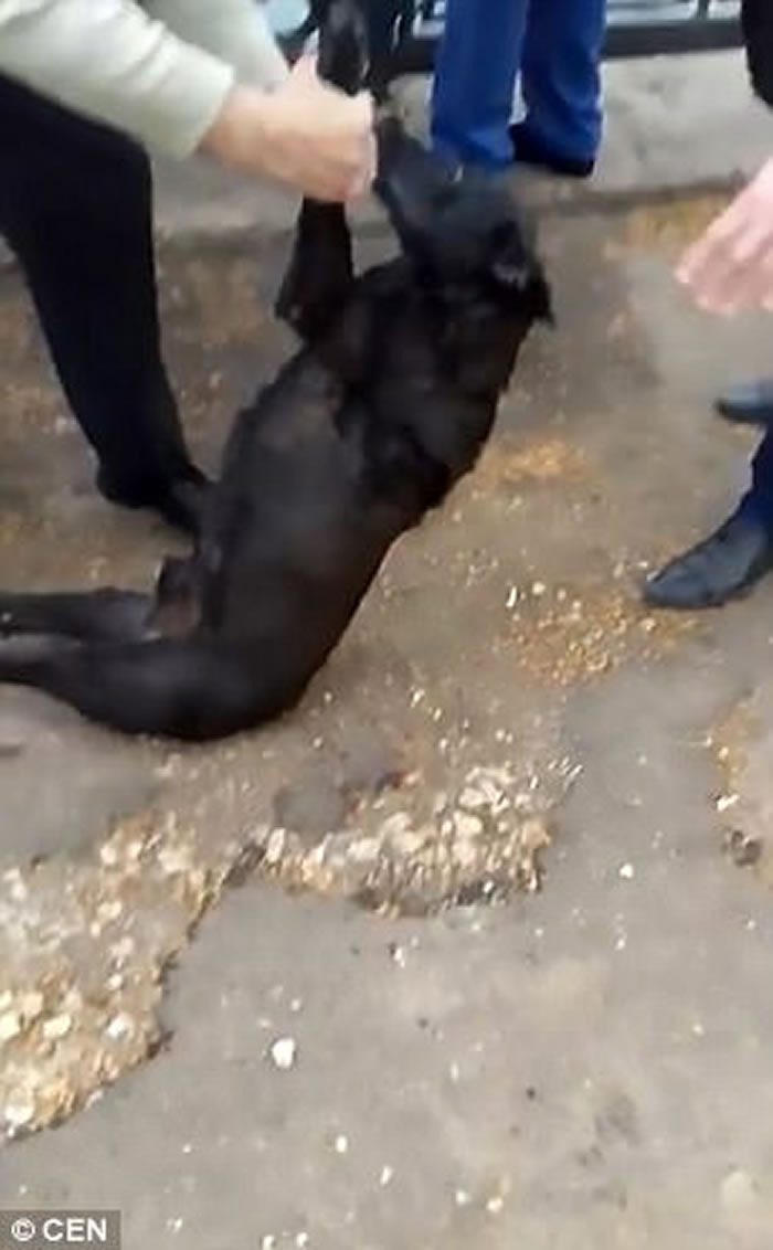 ����˹�������ӿ������˹���ӷ��������������