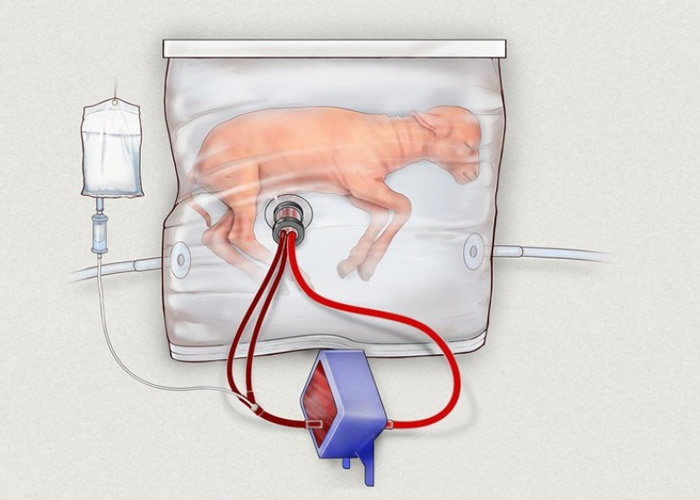 �ÿ������ӹ�ģ���ӹ��ڻ�����