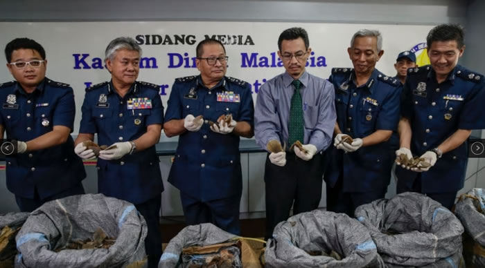 马来西亚国际机场截获712公斤穿山甲鳞片 预计有1400只穿山甲遭杀害