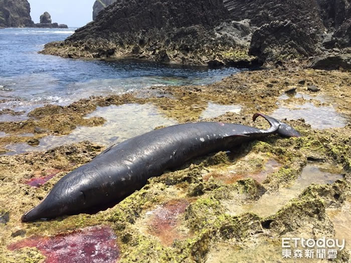 ̨���̵�˯������С���Ǽ䰶�ʷ�����������๾�