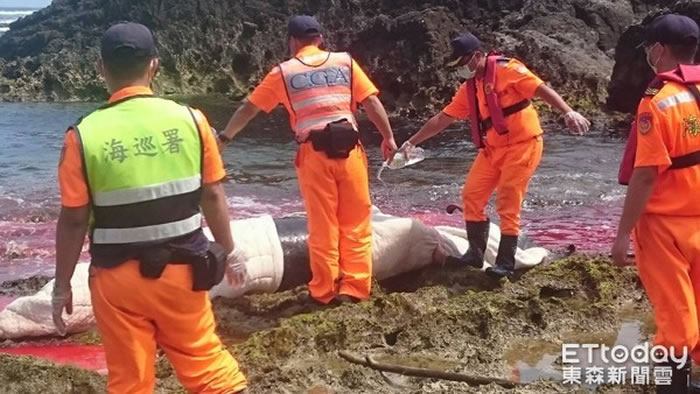 ̨���̵�˯������С���Ǽ䰶�ʷ�����������๾�