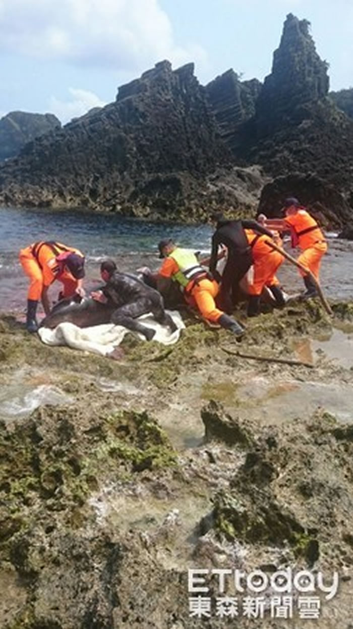 ̨���̵�˯������С���Ǽ䰶�ʷ�����������๾�