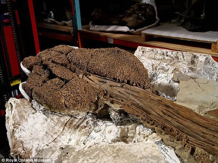 �о���Ա���������׵��¼������϶�ħ�����š���Zuulcrurivastator