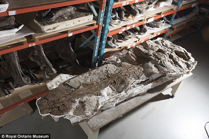 �о���Ա���������׵��¼������϶�ħ�����š���Zuulcrurivastator