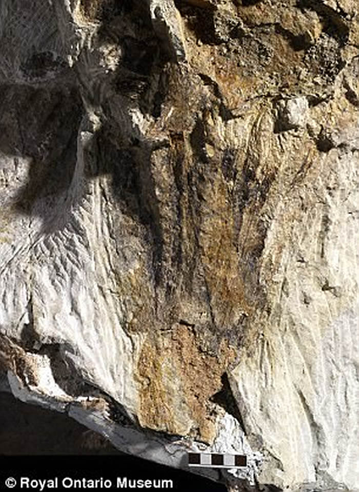 �о���Ա���������׵��¼������϶�ħ�����š���Zuulcrurivastator