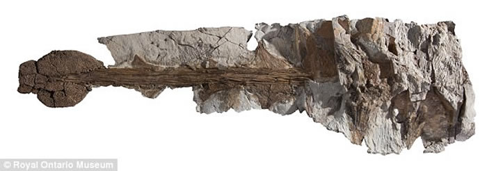 �о���Ա���������׵��¼������϶�ħ�����š���Zuulcrurivastator