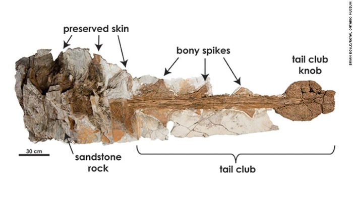 �о���Ա���������׵��¼������϶�ħ�����š���Zuulcrurivastator