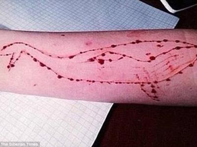 ����������Ϸ�������������˶���˹���Ӳ��½�Philipp Budeikin�����������