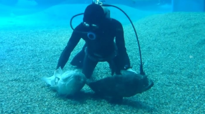 ձ溣ιʯԹˮ׷ǱˮԱĦ