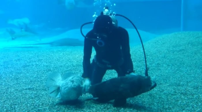 ձ溣ιʯԹˮ׷ǱˮԱĦ