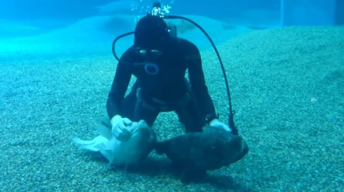 ձ溣ιʯԹˮ׷ǱˮԱĦ