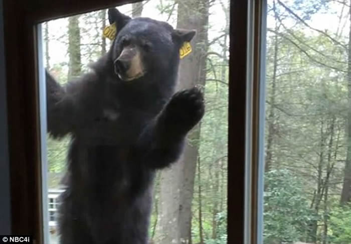 ˵ҿݸڼҿɿ ̧ͷִſڴˮ