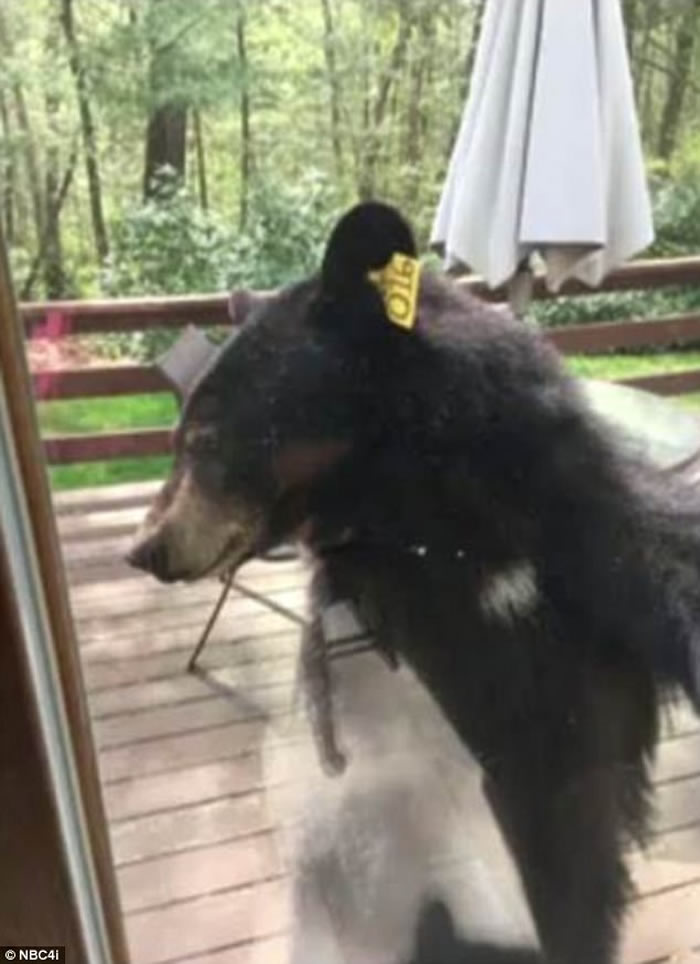 ˵ҿݸڼҿɿ ̧ͷִſڴˮ