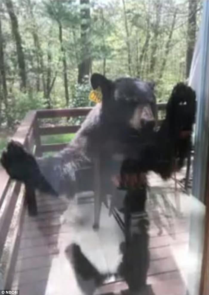 ˵ҿݸڼҿɿ ̧ͷִſڴˮ