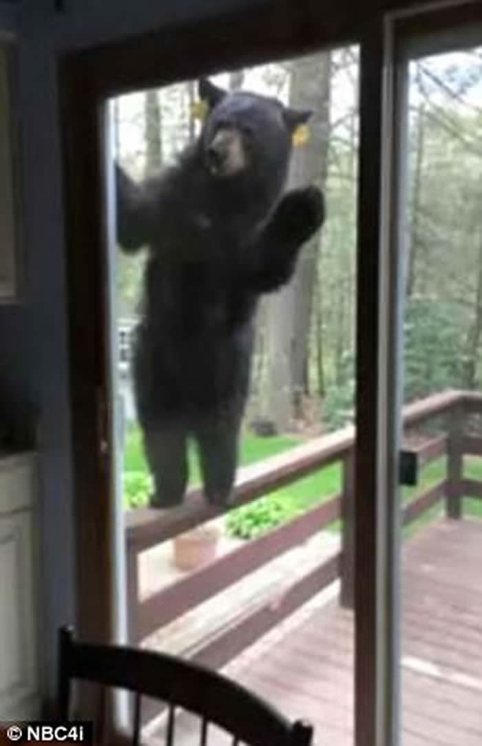 ˵ҿݸڼҿɿ ̧ͷִſڴˮ