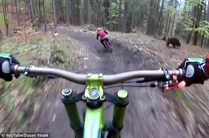 ˹�工��ɽ���������������� ׷��14�����ʧ������