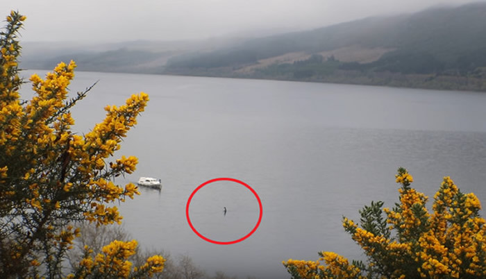 ���غ�Ӱ�������� ��˹��ˮ�����ٳ���