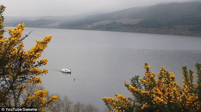 ���غ�Ӱ�������� ��˹��ˮ�����ٳ���