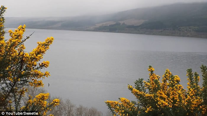 ���غ�Ӱ�������� ��˹��ˮ�����ٳ���