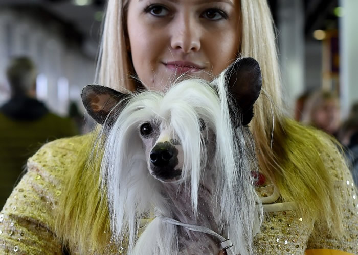 ��ѧ��ָ������������ʵ�빷�����ಮ�١�