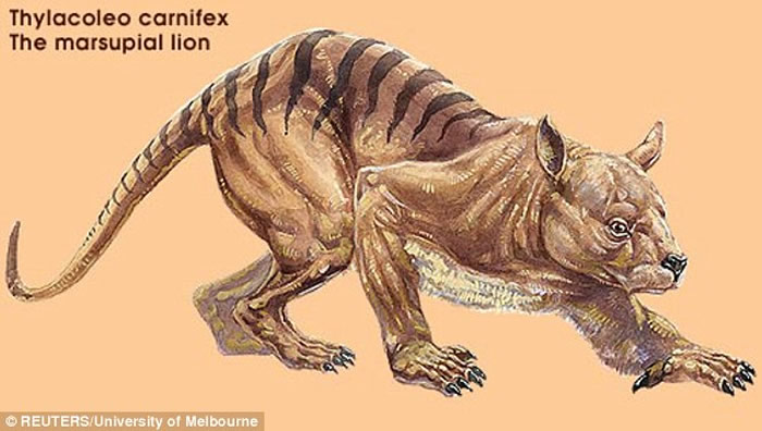 Ŀضʨҧȡ˹ǶħҪǿ