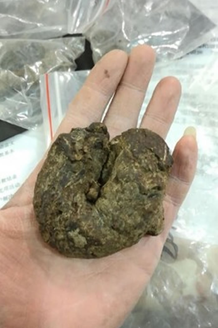 乌鲁木齐东部和南部的山区,都有发现雪豹频繁活动的踪迹,从学者采集的粪便更可以确认。