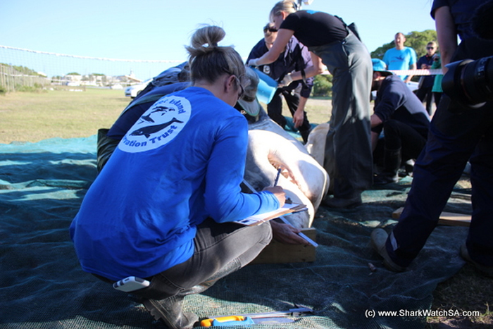 ɱ�˾��Դ�����ɱ�䣺�Ϸ����辰���˹�ݺ�̲���ֶ�ߴ����ʬ��