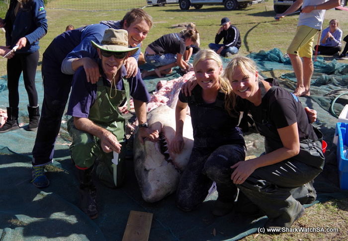 ɱ�˾��Դ�����ɱ�䣺�Ϸ����辰���˹�ݺ�̲���ֶ�ߴ����ʬ��