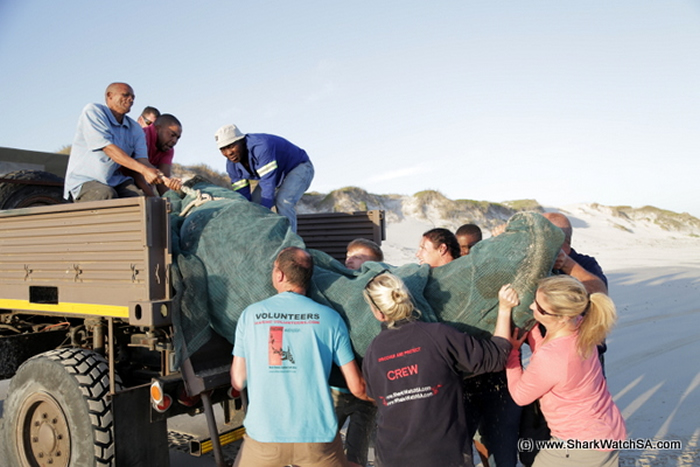 ɱ�˾��Դ�����ɱ�䣺�Ϸ����辰���˹�ݺ�̲���ֶ�ߴ����ʬ��