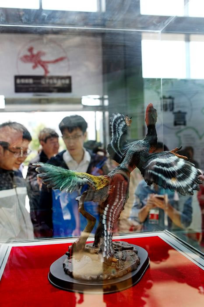 ���������ﲩ��ݾ��С�����������������չ