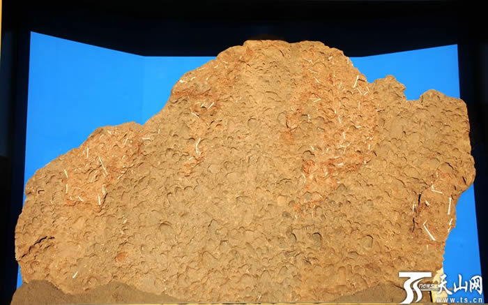 ʯ걾ۺ塰֮ڹܲǰ㳡չ