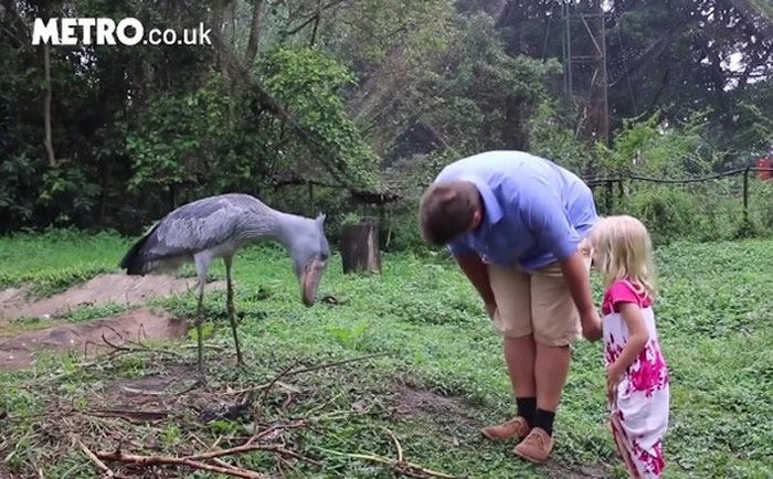 ��ŮҰ�������Ϲ����к� ��ͷ�ٵ�ͷ����