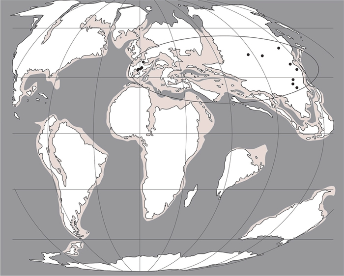 山东平邑盆地马斯特里赫特期至古新世早期Microchara cristata的地理分布,显示其欧亚分布。古地理图改自Blakey(2006),65Ma