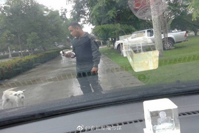 ��Ա�Ͻ��鿴С����״̬��