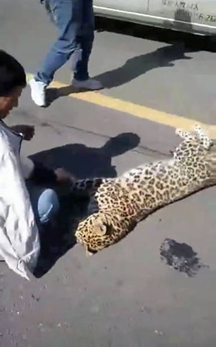 ɽ괨޹·һֻɱײĽǮ