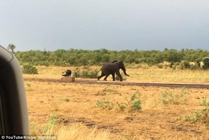 Ϸǿ³ҹ԰¸Сˮţ˴