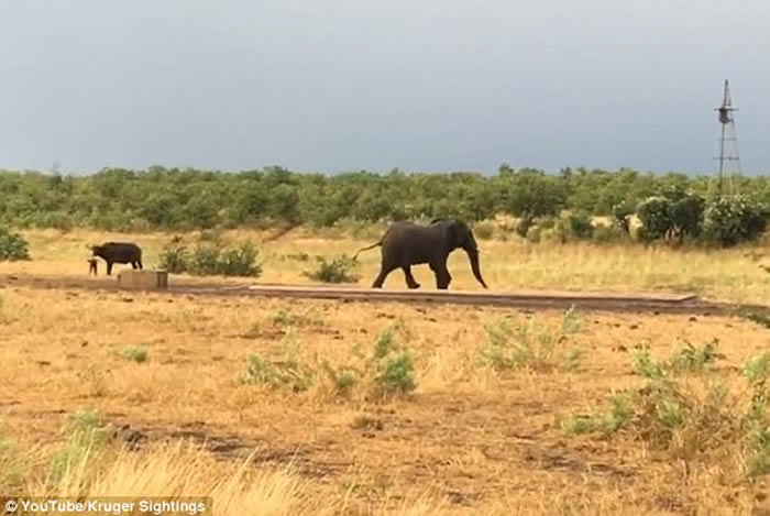 Ϸǿ³ҹ԰¸Сˮţ˴