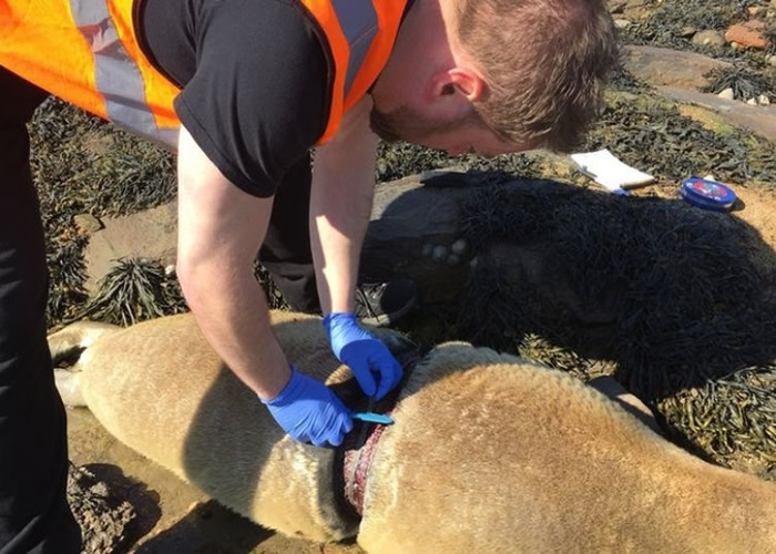 �����������ƻ��˺����ļ�����֯��