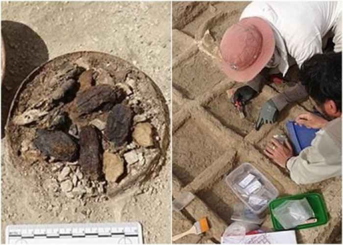 埃及出土有多年历史的陪葬花园。