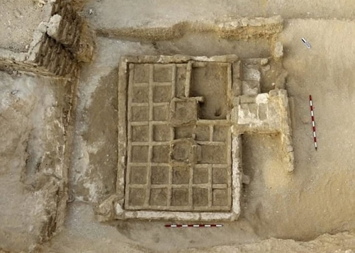 花园被划分为方形的植物床。