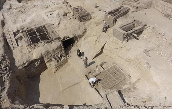 专家估计古埃及人曾种植灌木植物。